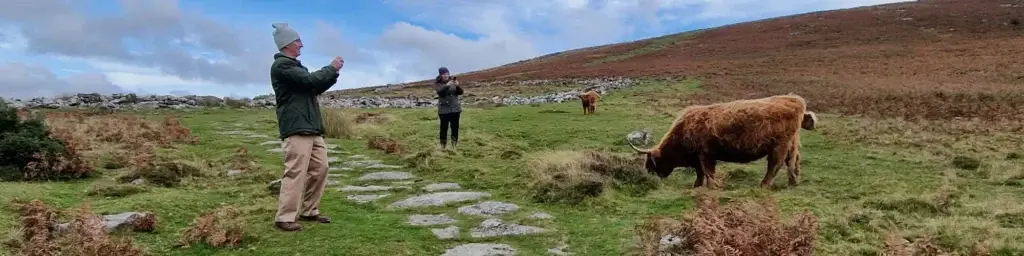Devon and Moor Private Tours