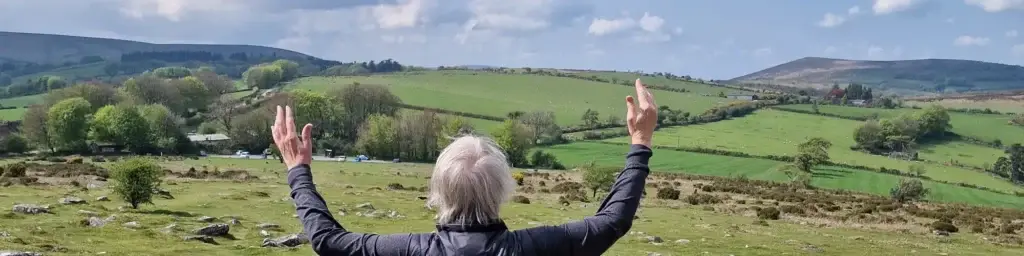 Devon and Moor Private Tours